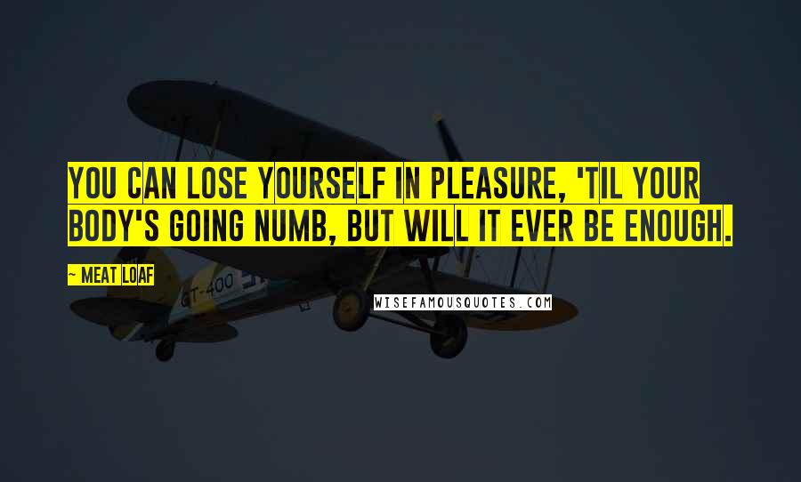 Meat Loaf Quotes: You can lose yourself in pleasure, 'til your body's going numb, but will it ever be enough.