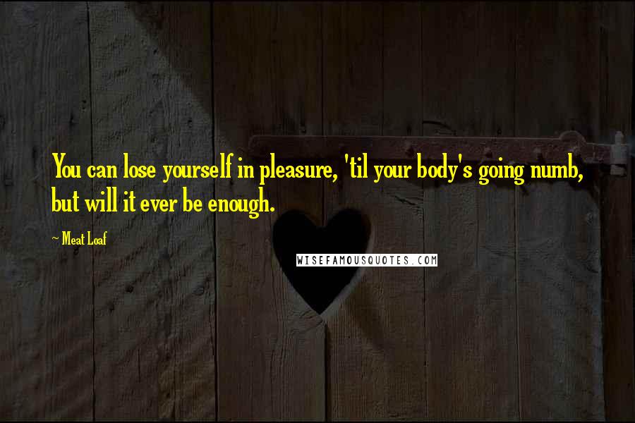 Meat Loaf Quotes: You can lose yourself in pleasure, 'til your body's going numb, but will it ever be enough.