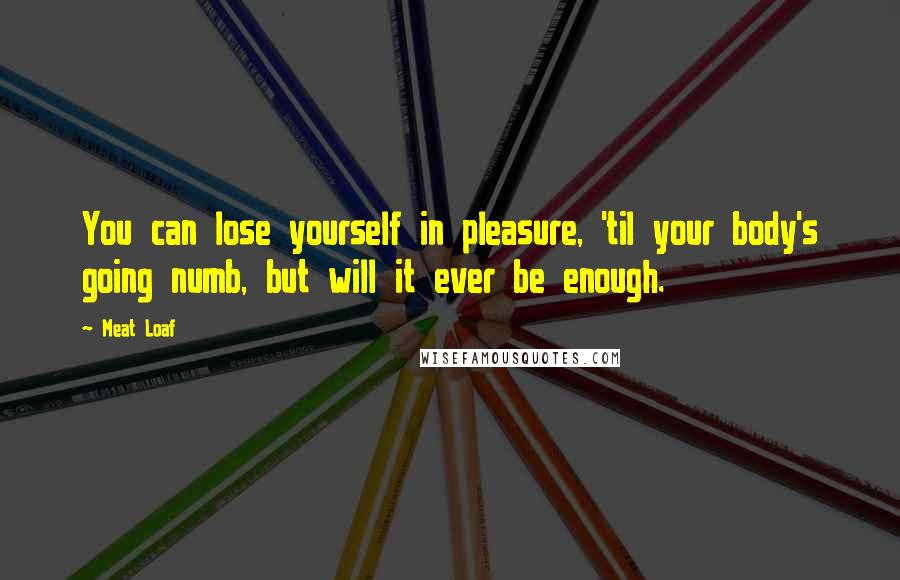 Meat Loaf Quotes: You can lose yourself in pleasure, 'til your body's going numb, but will it ever be enough.