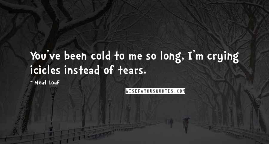 Meat Loaf Quotes: You've been cold to me so long, I'm crying icicles instead of tears.