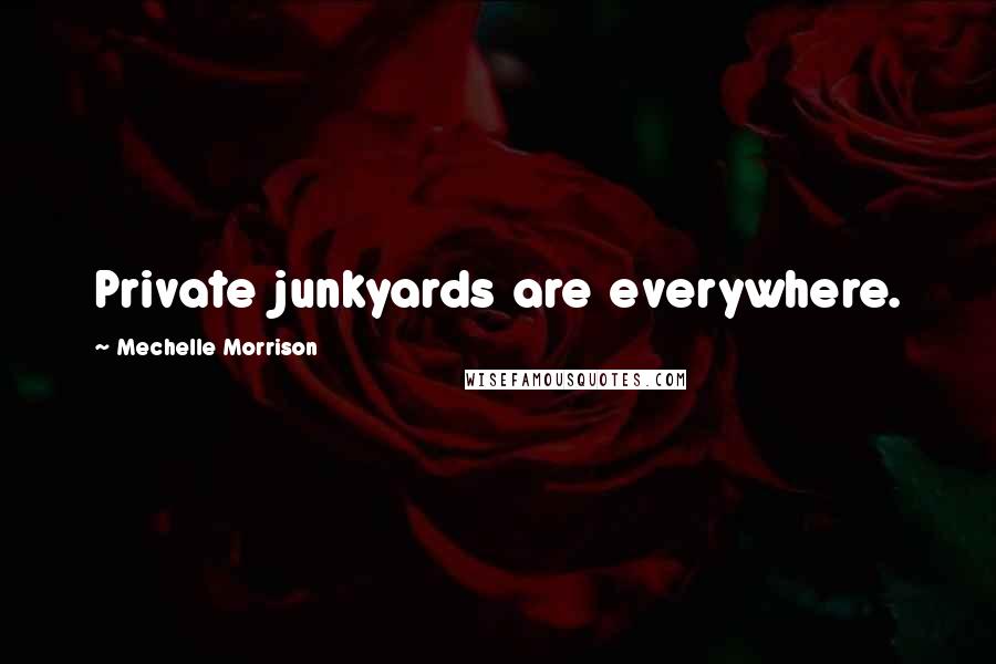 Mechelle Morrison Quotes: Private junkyards are everywhere.