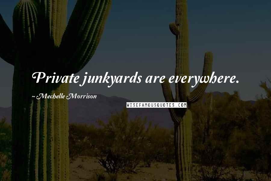 Mechelle Morrison Quotes: Private junkyards are everywhere.