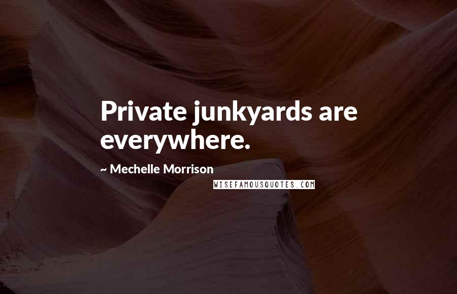 Mechelle Morrison Quotes: Private junkyards are everywhere.