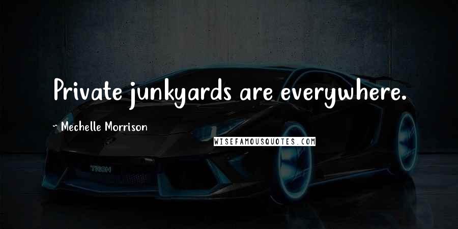 Mechelle Morrison Quotes: Private junkyards are everywhere.