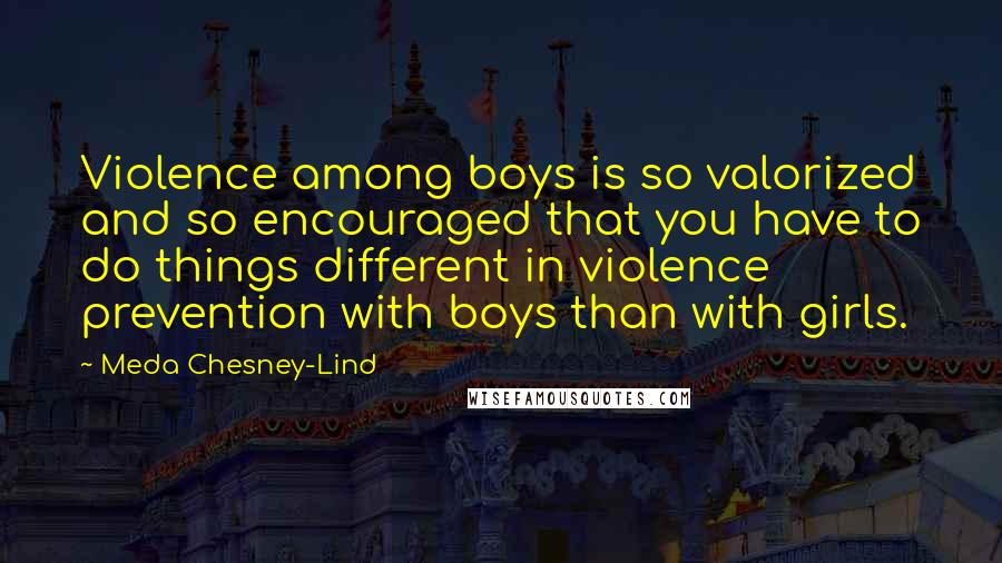 Meda Chesney-Lind Quotes: Violence among boys is so valorized and so encouraged that you have to do things different in violence prevention with boys than with girls.