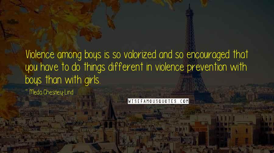 Meda Chesney-Lind Quotes: Violence among boys is so valorized and so encouraged that you have to do things different in violence prevention with boys than with girls.