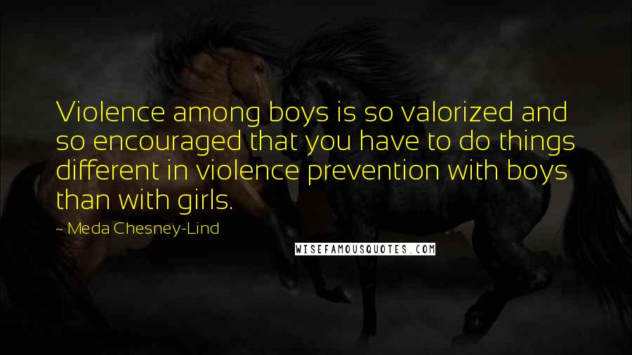 Meda Chesney-Lind Quotes: Violence among boys is so valorized and so encouraged that you have to do things different in violence prevention with boys than with girls.
