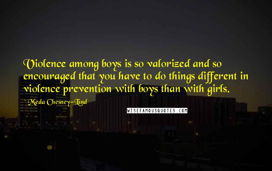 Meda Chesney-Lind Quotes: Violence among boys is so valorized and so encouraged that you have to do things different in violence prevention with boys than with girls.