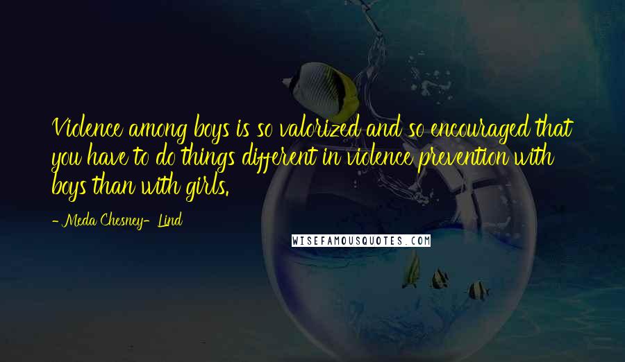 Meda Chesney-Lind Quotes: Violence among boys is so valorized and so encouraged that you have to do things different in violence prevention with boys than with girls.