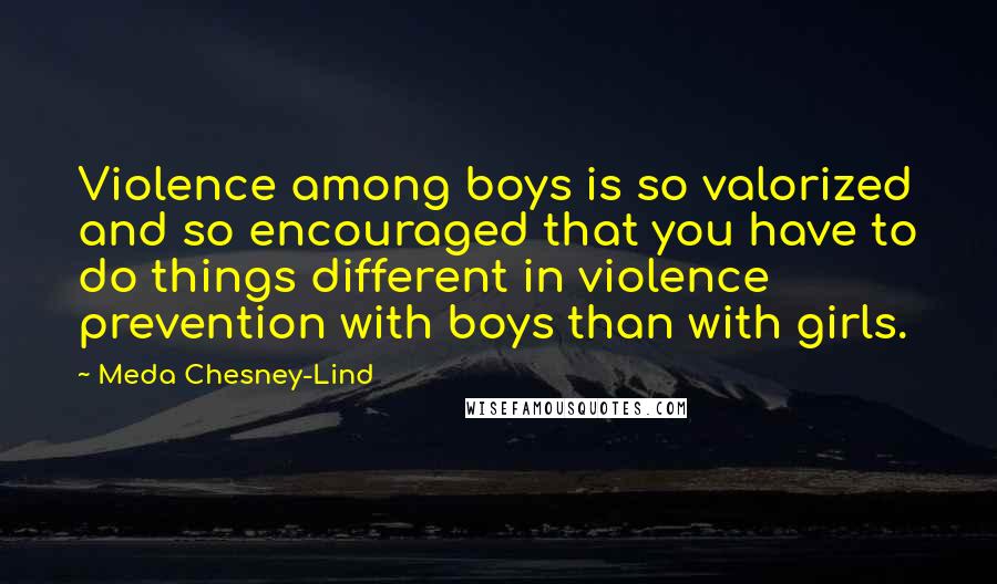 Meda Chesney-Lind Quotes: Violence among boys is so valorized and so encouraged that you have to do things different in violence prevention with boys than with girls.