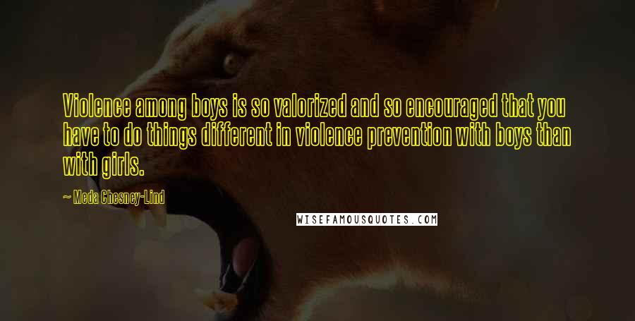 Meda Chesney-Lind Quotes: Violence among boys is so valorized and so encouraged that you have to do things different in violence prevention with boys than with girls.