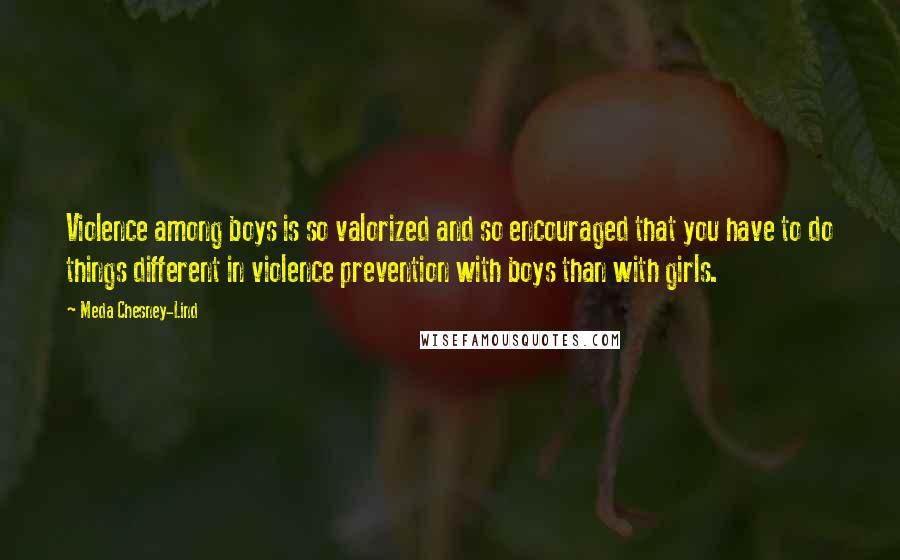 Meda Chesney-Lind Quotes: Violence among boys is so valorized and so encouraged that you have to do things different in violence prevention with boys than with girls.