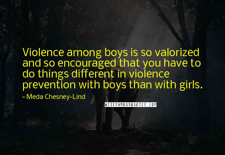 Meda Chesney-Lind Quotes: Violence among boys is so valorized and so encouraged that you have to do things different in violence prevention with boys than with girls.
