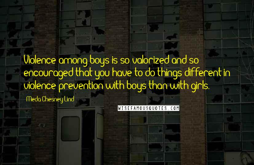 Meda Chesney-Lind Quotes: Violence among boys is so valorized and so encouraged that you have to do things different in violence prevention with boys than with girls.