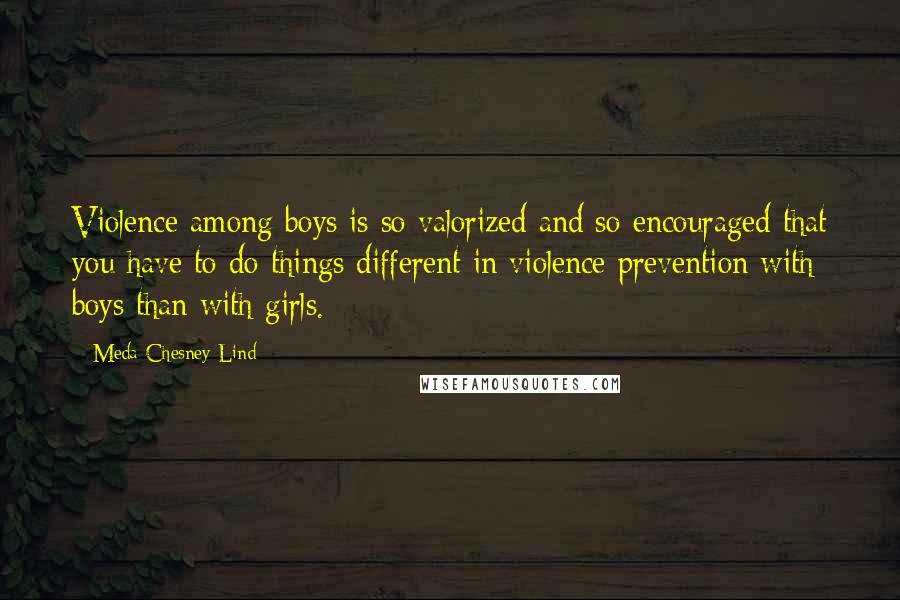 Meda Chesney-Lind Quotes: Violence among boys is so valorized and so encouraged that you have to do things different in violence prevention with boys than with girls.