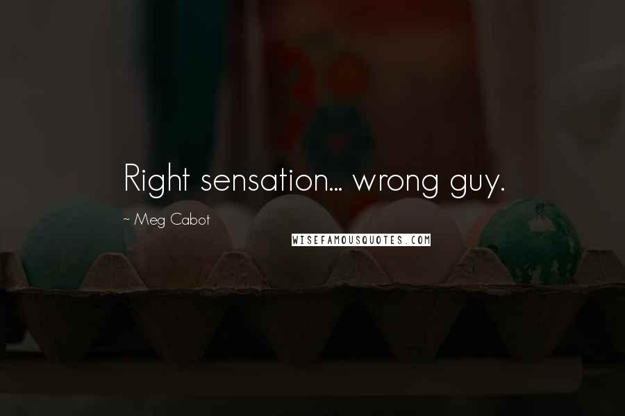 Meg Cabot Quotes: Right sensation... wrong guy.