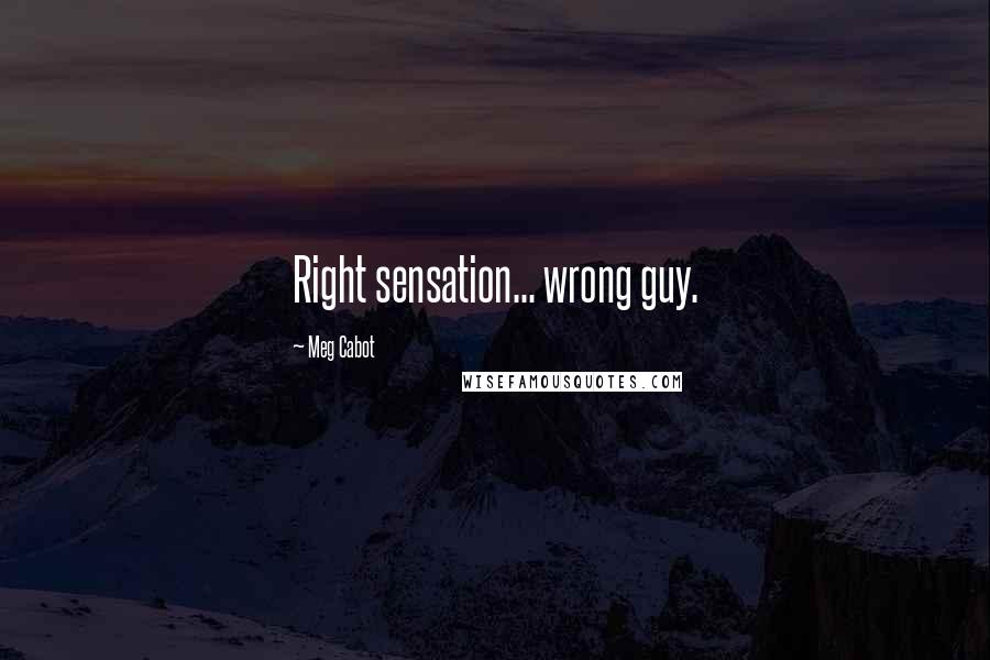 Meg Cabot Quotes: Right sensation... wrong guy.