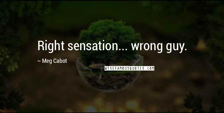 Meg Cabot Quotes: Right sensation... wrong guy.