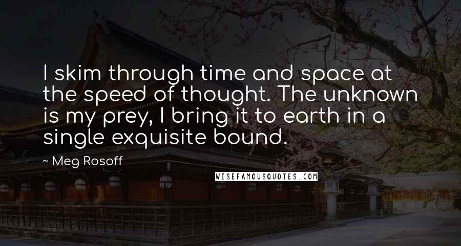 Meg Rosoff Quotes: I skim through time and space at the speed of thought. The unknown is my prey, I bring it to earth in a single exquisite bound.