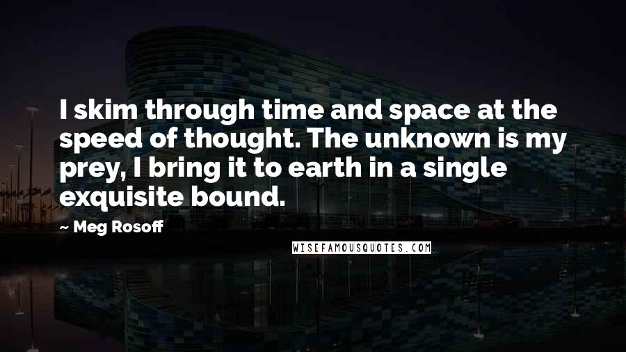 Meg Rosoff Quotes: I skim through time and space at the speed of thought. The unknown is my prey, I bring it to earth in a single exquisite bound.