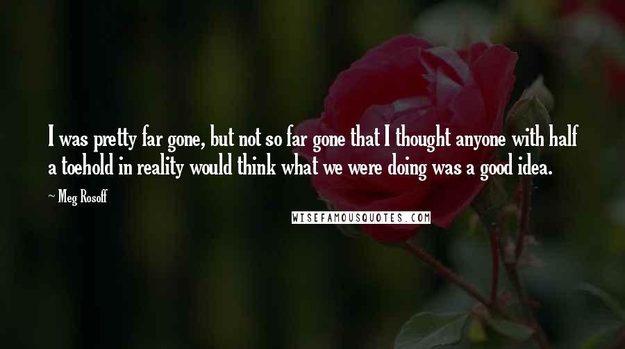 Meg Rosoff Quotes: I was pretty far gone, but not so far gone that I thought anyone with half a toehold in reality would think what we were doing was a good idea.