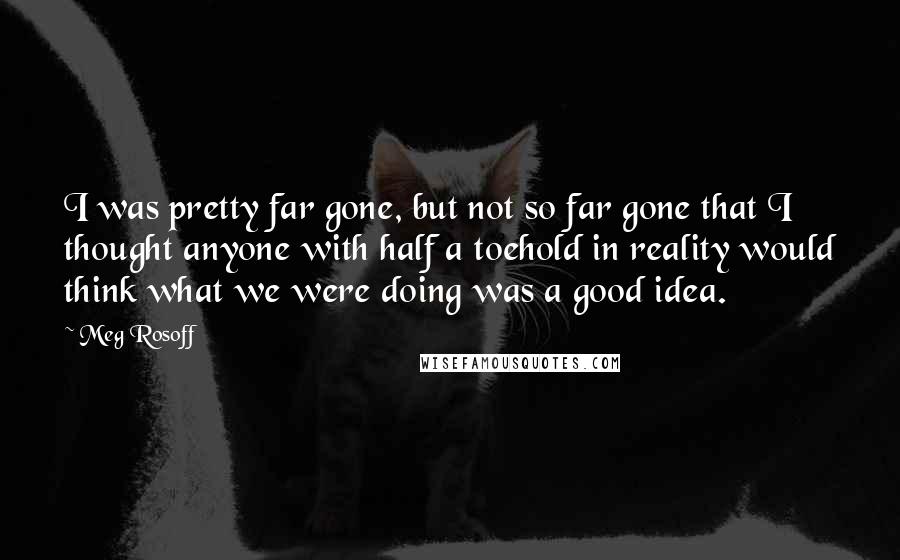 Meg Rosoff Quotes: I was pretty far gone, but not so far gone that I thought anyone with half a toehold in reality would think what we were doing was a good idea.