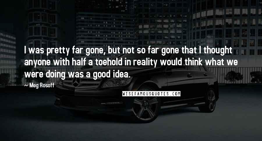 Meg Rosoff Quotes: I was pretty far gone, but not so far gone that I thought anyone with half a toehold in reality would think what we were doing was a good idea.