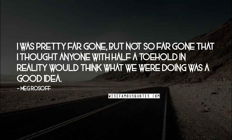 Meg Rosoff Quotes: I was pretty far gone, but not so far gone that I thought anyone with half a toehold in reality would think what we were doing was a good idea.