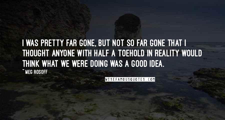 Meg Rosoff Quotes: I was pretty far gone, but not so far gone that I thought anyone with half a toehold in reality would think what we were doing was a good idea.