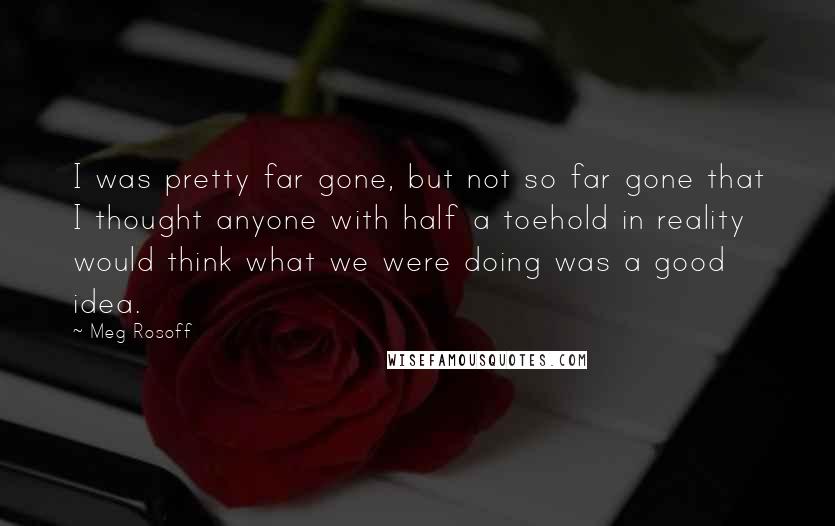 Meg Rosoff Quotes: I was pretty far gone, but not so far gone that I thought anyone with half a toehold in reality would think what we were doing was a good idea.