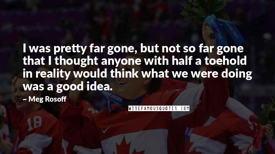 Meg Rosoff Quotes: I was pretty far gone, but not so far gone that I thought anyone with half a toehold in reality would think what we were doing was a good idea.