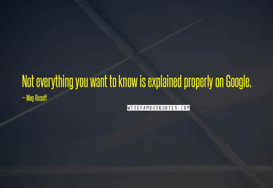 Meg Rosoff Quotes: Not everything you want to know is explained properly on Google.