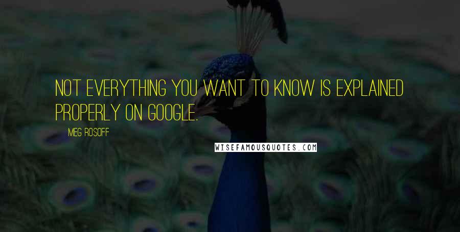 Meg Rosoff Quotes: Not everything you want to know is explained properly on Google.