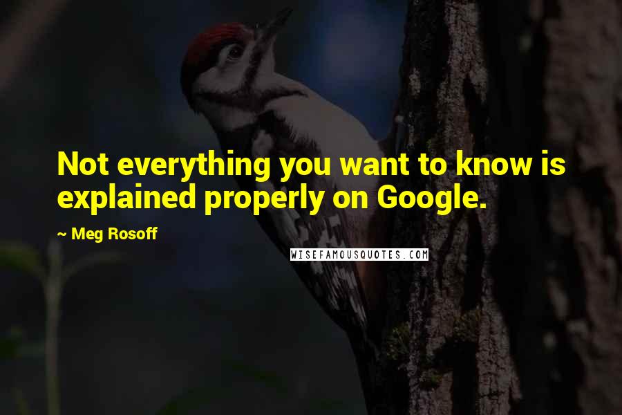 Meg Rosoff Quotes: Not everything you want to know is explained properly on Google.