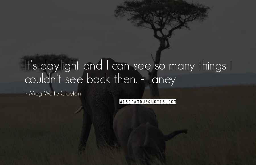 Meg Waite Clayton Quotes: It's daylight and I can see so many things I couldn't see back then. - Laney