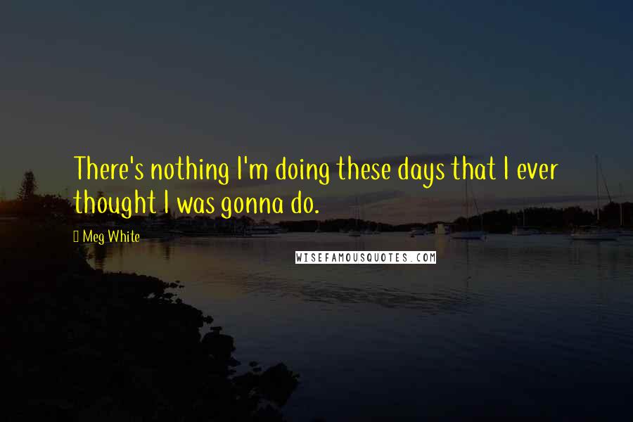 Meg White Quotes: There's nothing I'm doing these days that I ever thought I was gonna do.