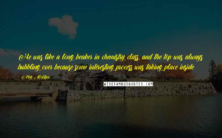 Meg Wolitzer Quotes: He was like a long beaker in chemistry class, and the top was always bubbling over because some interesting process was taking place inside