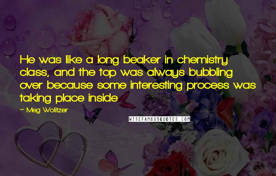 Meg Wolitzer Quotes: He was like a long beaker in chemistry class, and the top was always bubbling over because some interesting process was taking place inside