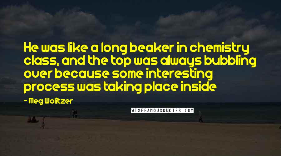 Meg Wolitzer Quotes: He was like a long beaker in chemistry class, and the top was always bubbling over because some interesting process was taking place inside