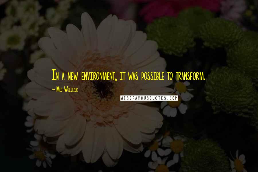 Meg Wolitzer Quotes: In a new environment, it was possible to transform.