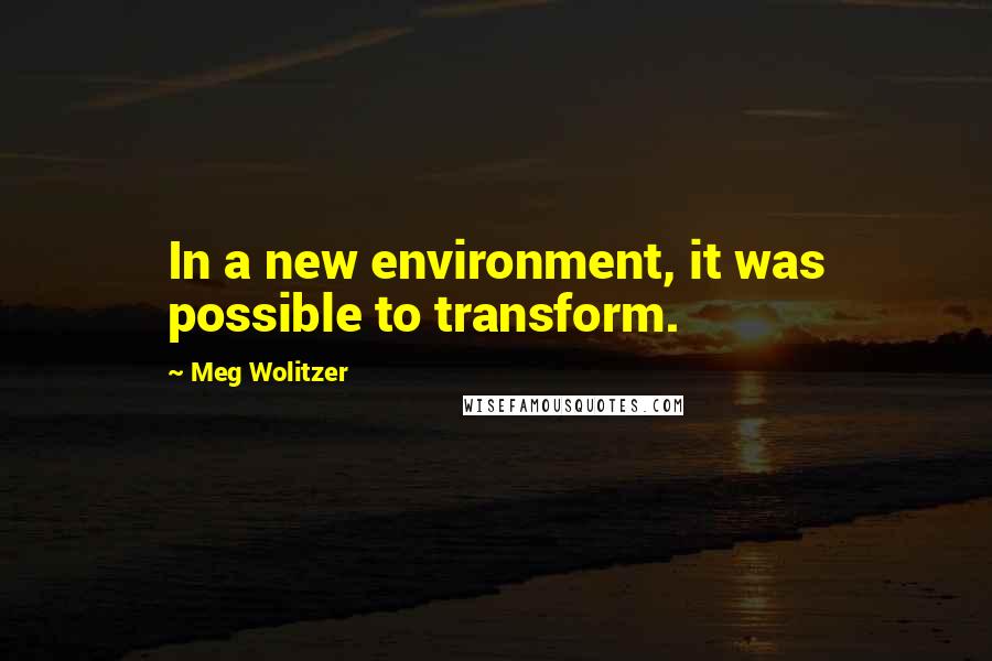 Meg Wolitzer Quotes: In a new environment, it was possible to transform.