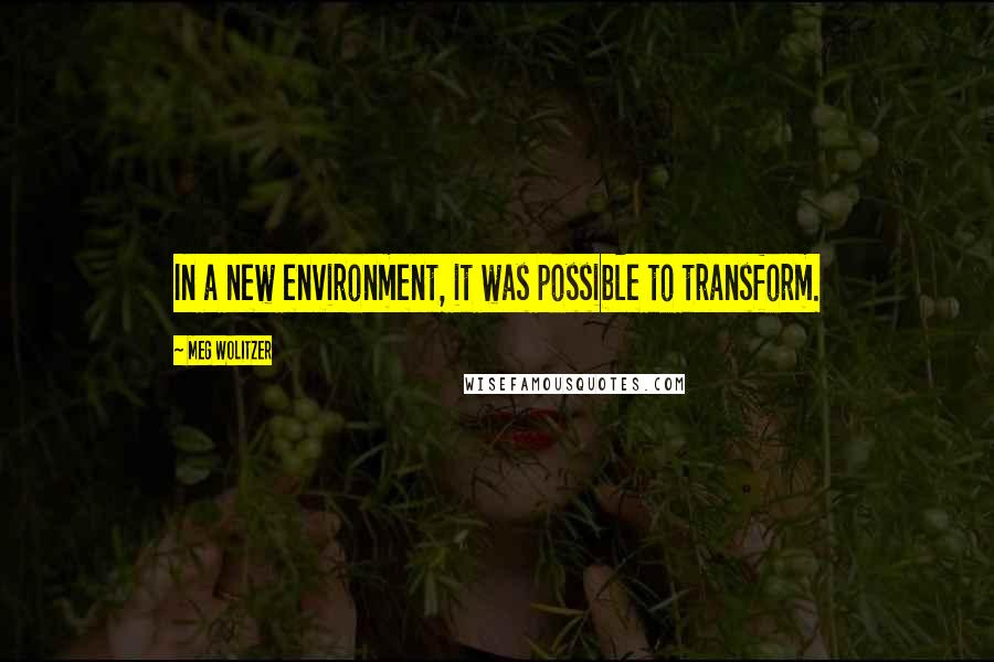 Meg Wolitzer Quotes: In a new environment, it was possible to transform.