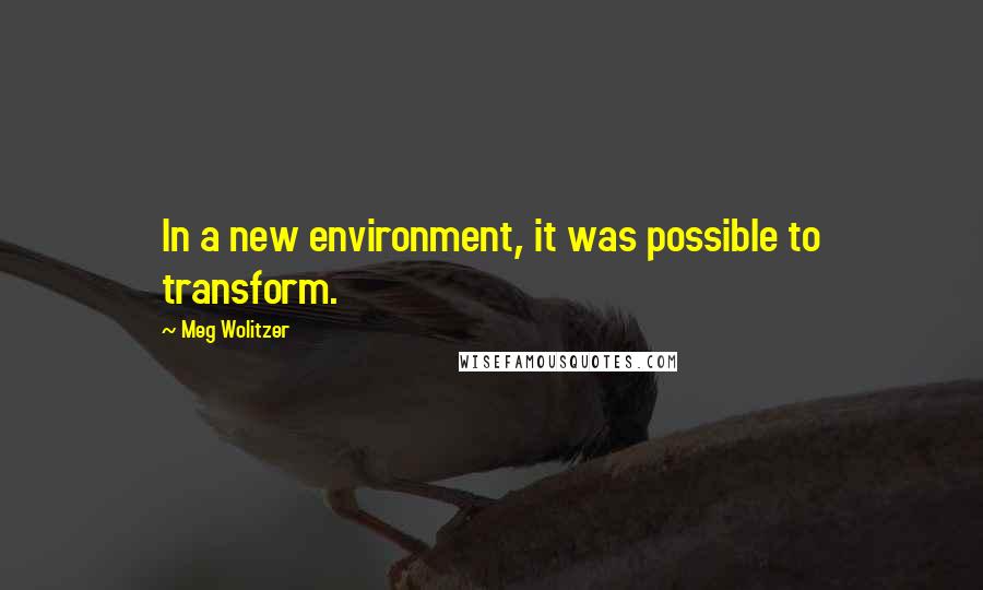 Meg Wolitzer Quotes: In a new environment, it was possible to transform.