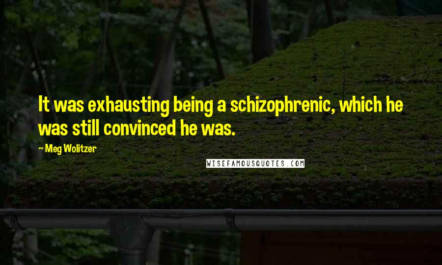 Meg Wolitzer Quotes: It was exhausting being a schizophrenic, which he was still convinced he was.