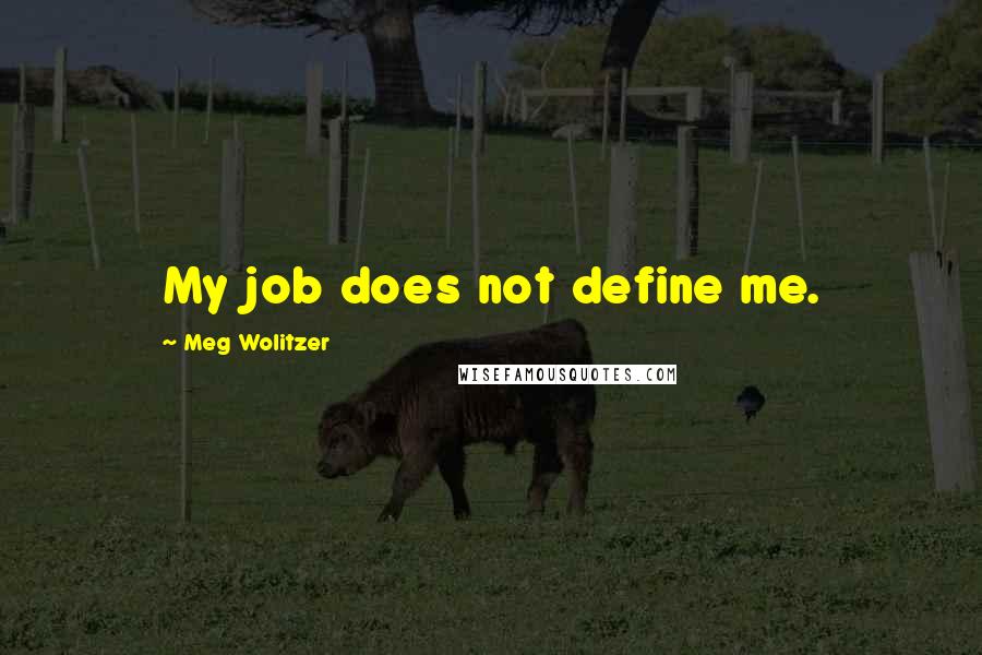 Meg Wolitzer Quotes: My job does not define me.