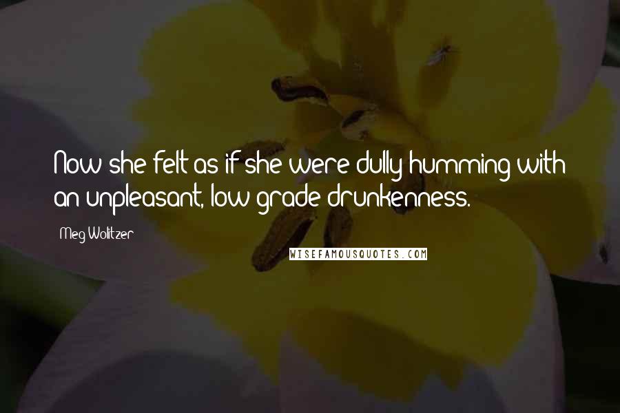 Meg Wolitzer Quotes: Now she felt as if she were dully humming with an unpleasant, low-grade drunkenness.