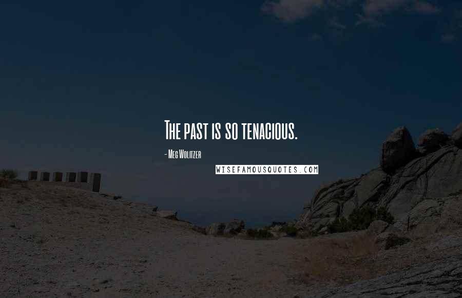 Meg Wolitzer Quotes: The past is so tenacious.