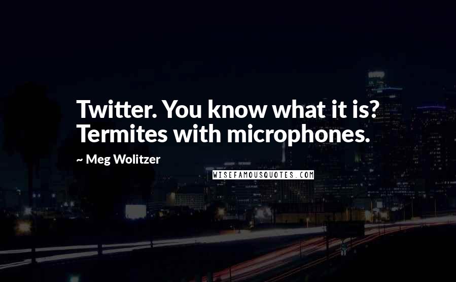 Meg Wolitzer Quotes: Twitter. You know what it is? Termites with microphones.