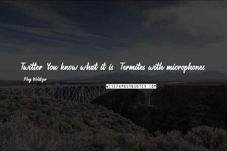 Meg Wolitzer Quotes: Twitter. You know what it is? Termites with microphones.