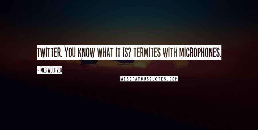 Meg Wolitzer Quotes: Twitter. You know what it is? Termites with microphones.